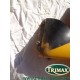 Flanc de carénage droit jaune Triumph Daytona n°9