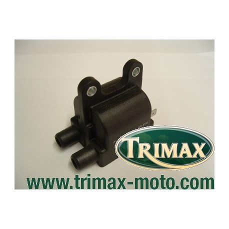 bobine d'allumage pour Triumph 2 et 4 cylindres - Trimax-Moto
