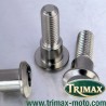 vis de disque de frein Triumph carbu standard occasion